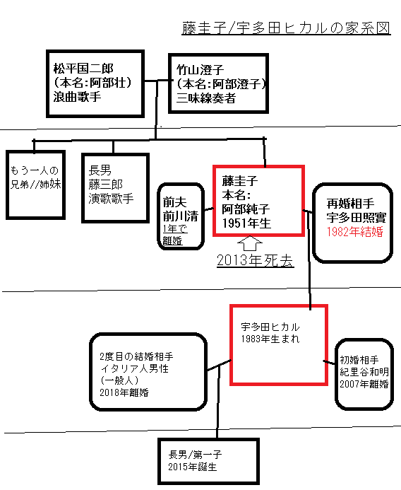 藤圭子/宇多田ヒカルの家系図